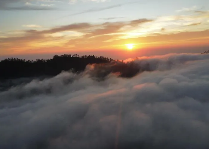 Отель The Dream Hill Bali - Kintamani